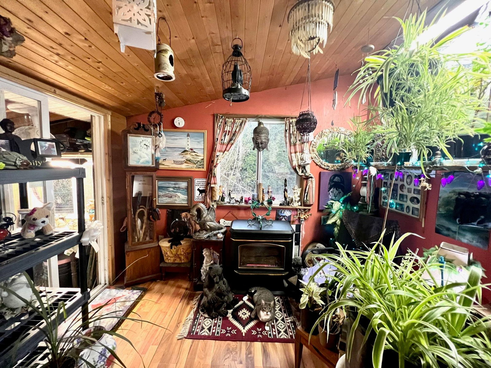 Listing Image 5