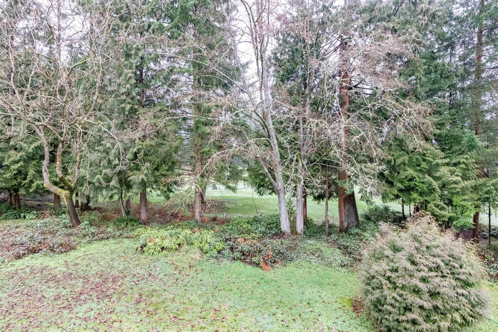 Listing Image 24
