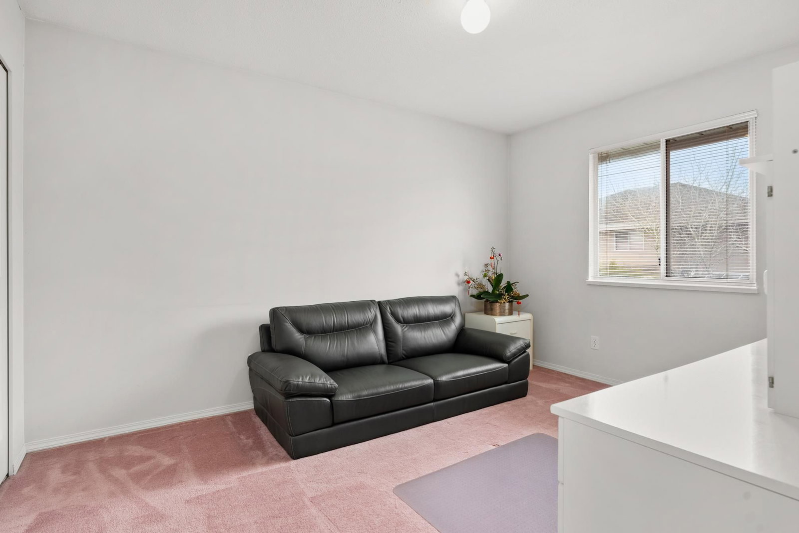 Listing Image 30
