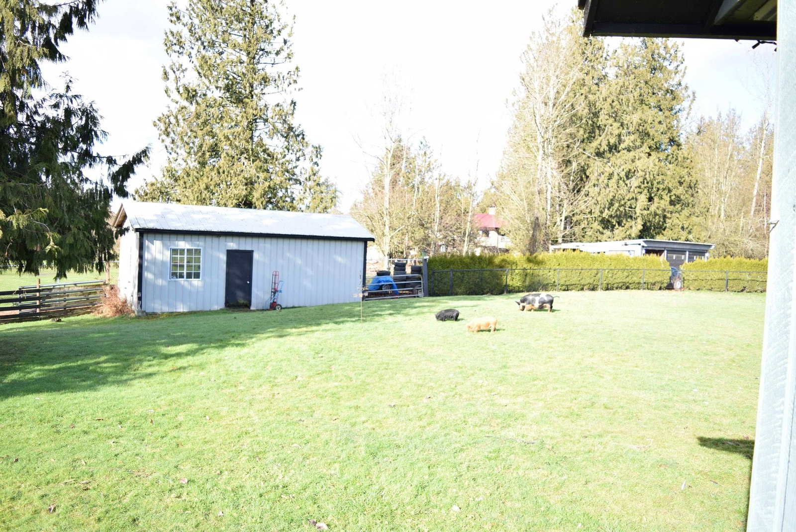 Listing Image 31