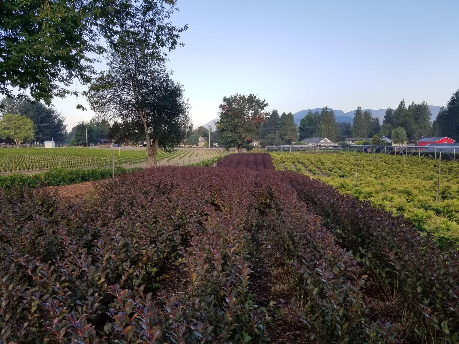 Listing Image 34