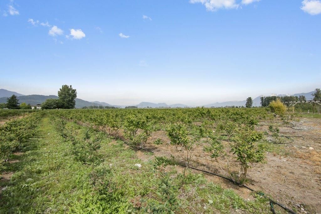 Listing Image 13