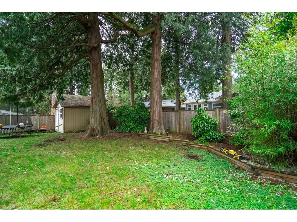 Listing Image 34