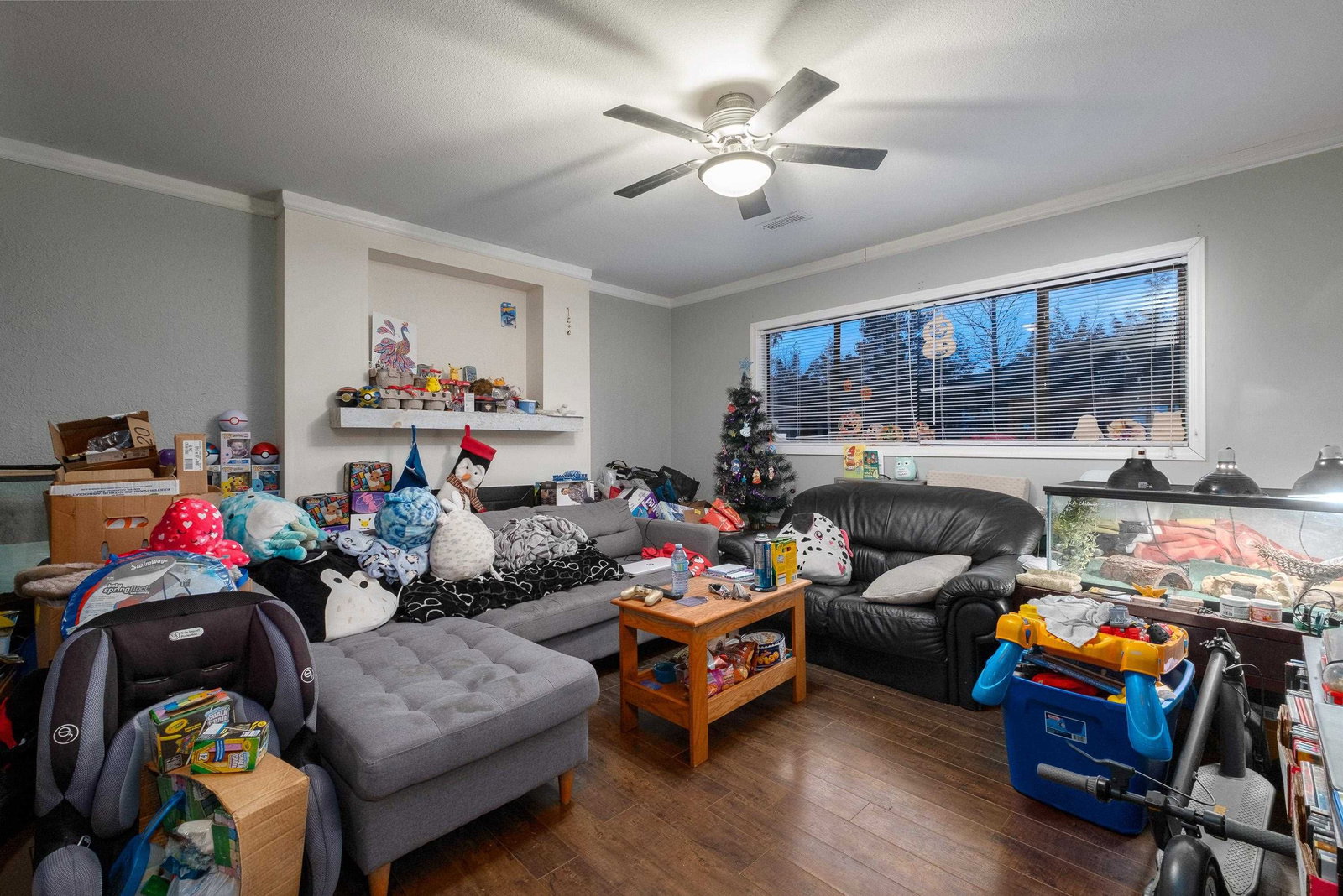Listing Image 19