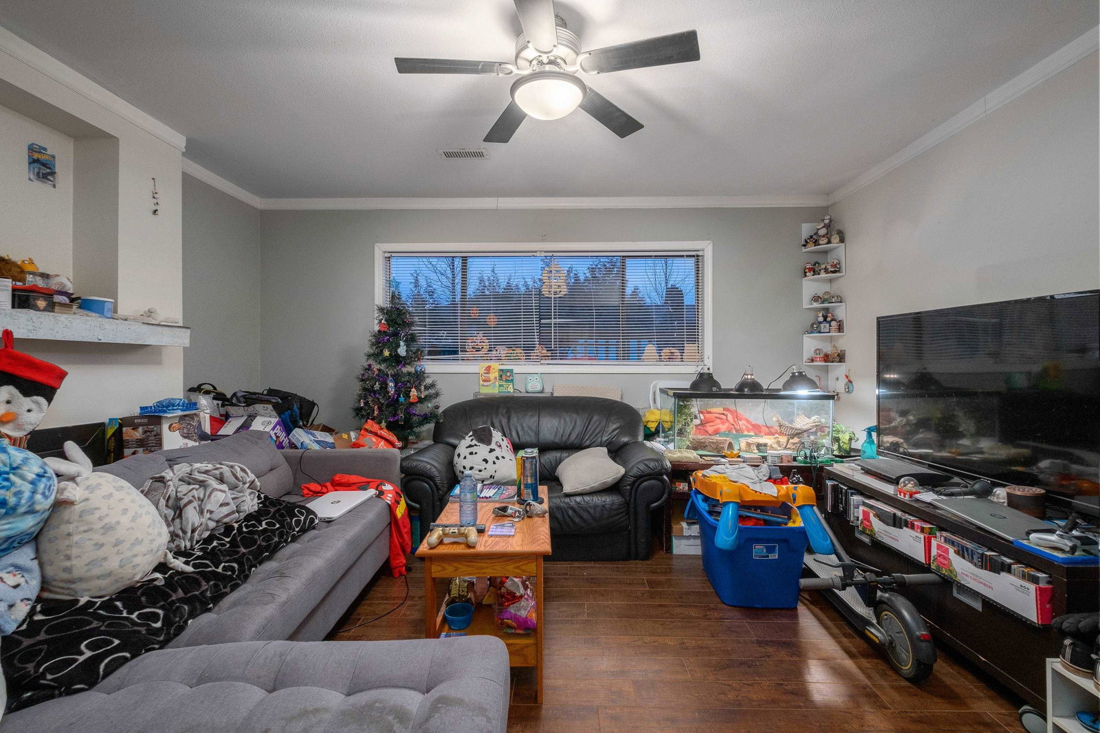 Listing Image 20