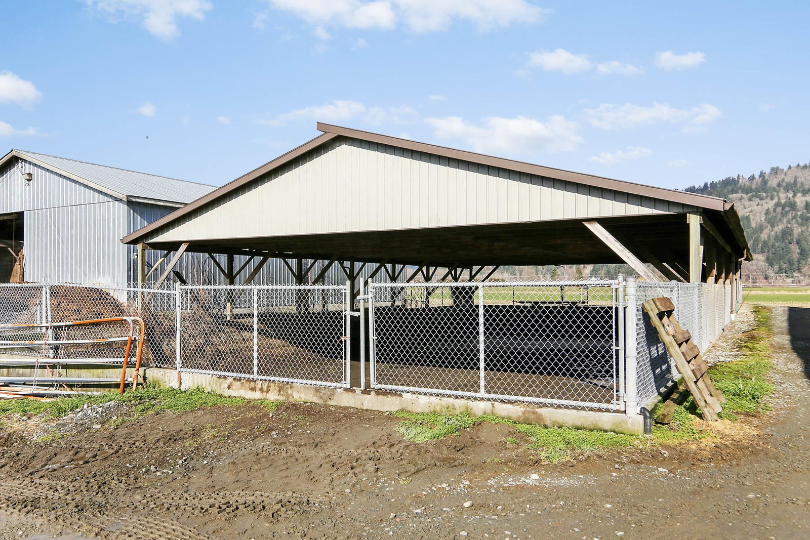 Listing Image 13
