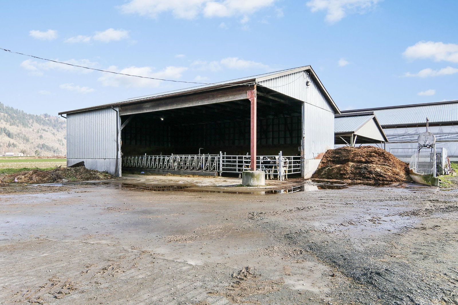 Listing Image 14