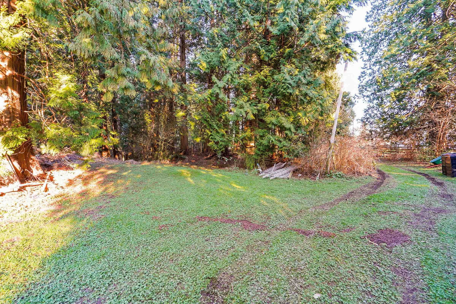 Listing Image 30