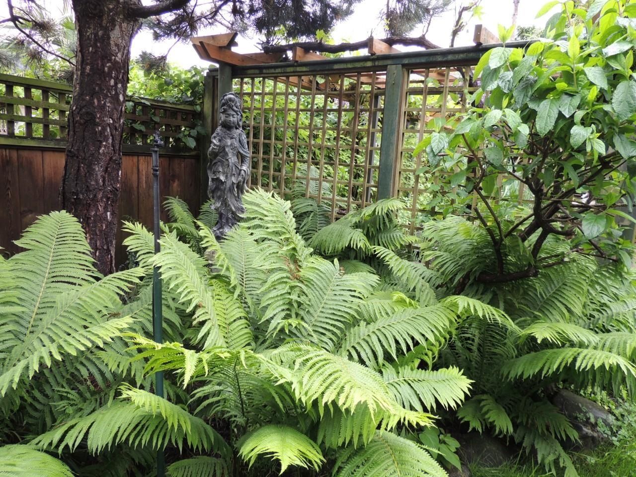 Listing Image 38