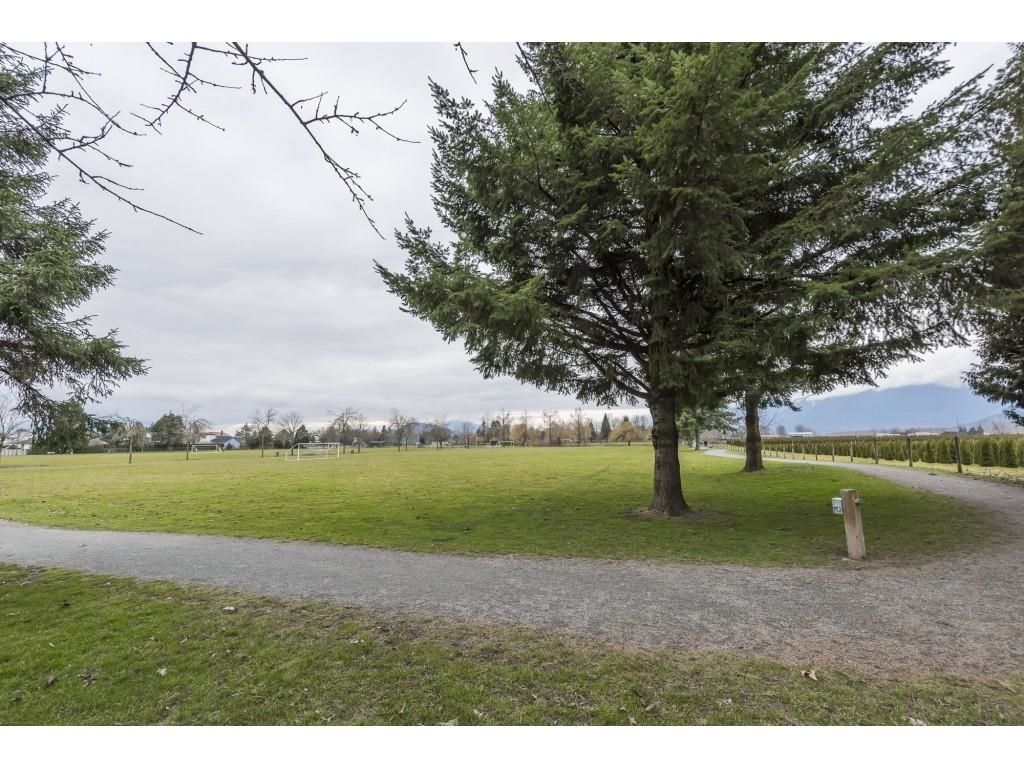 Listing Image 39