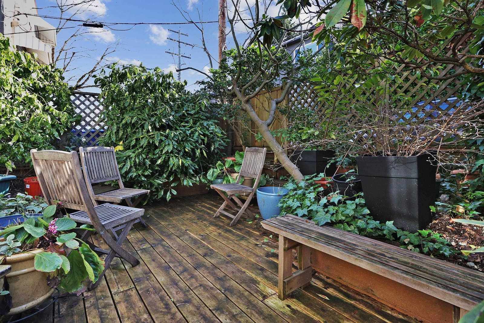 Listing Image 17