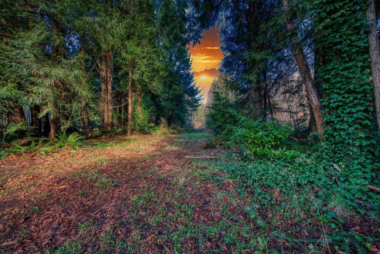 Listing Image 3