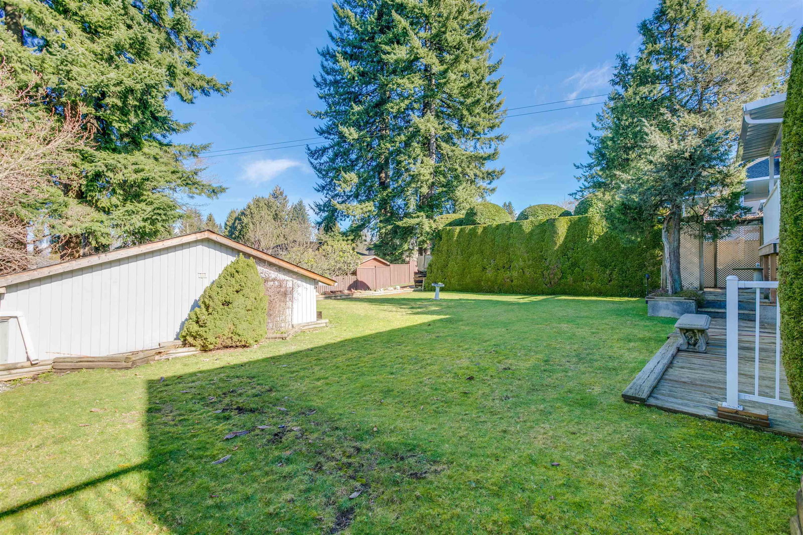 Listing Image 20