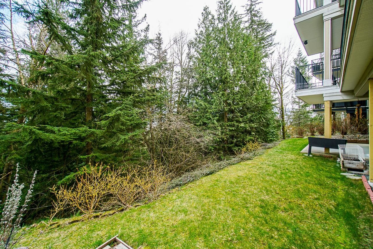 Listing Image 37