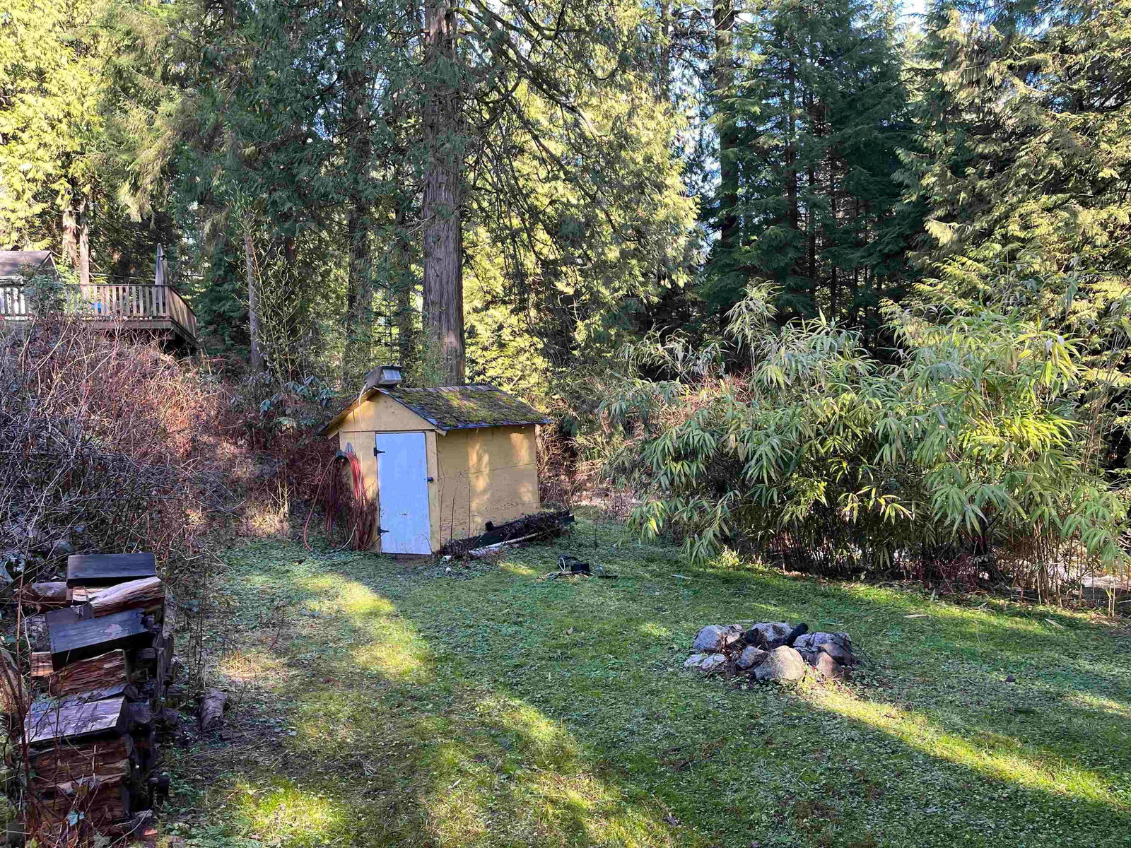 Listing Image 5