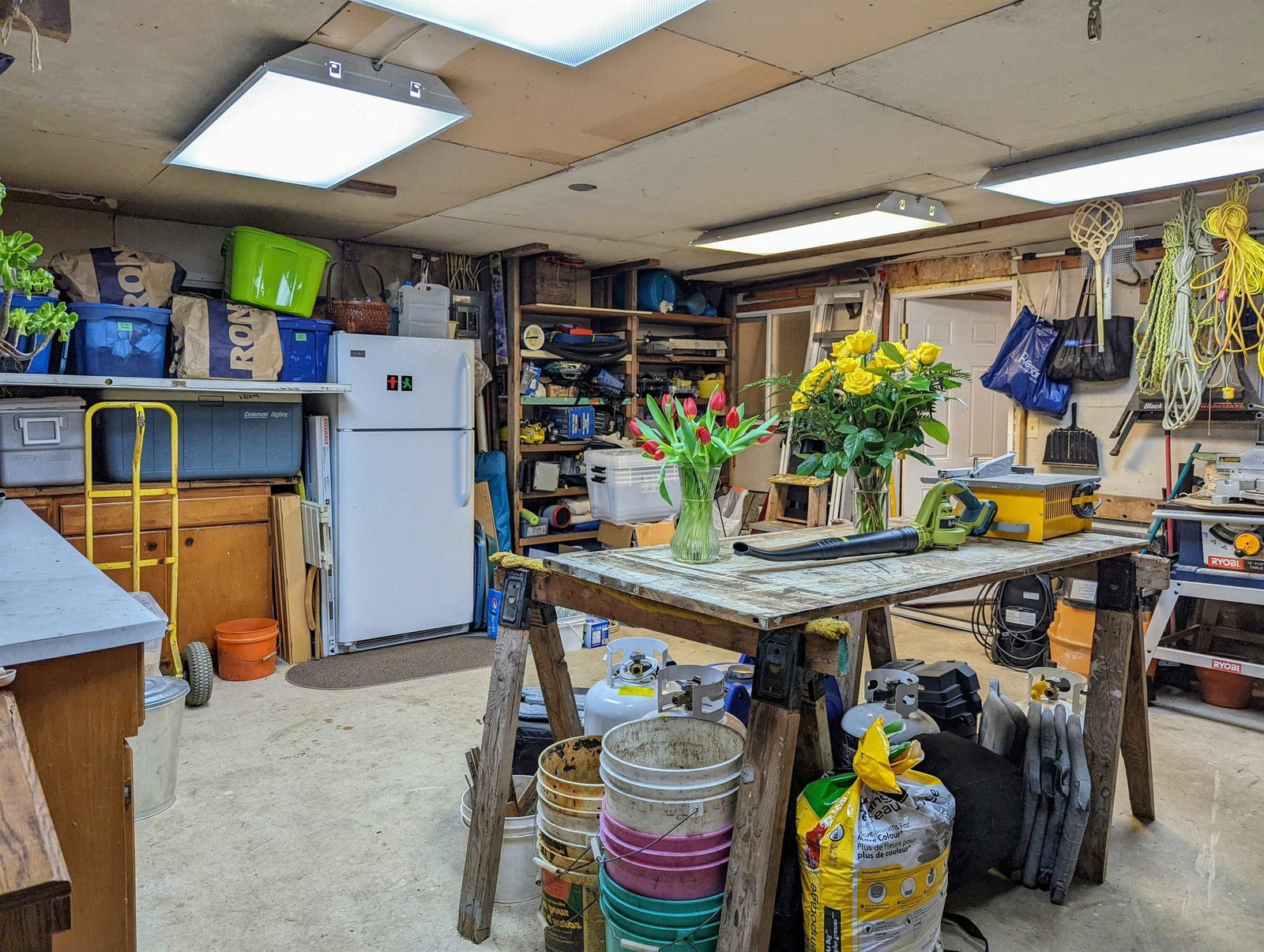 Listing Image 21