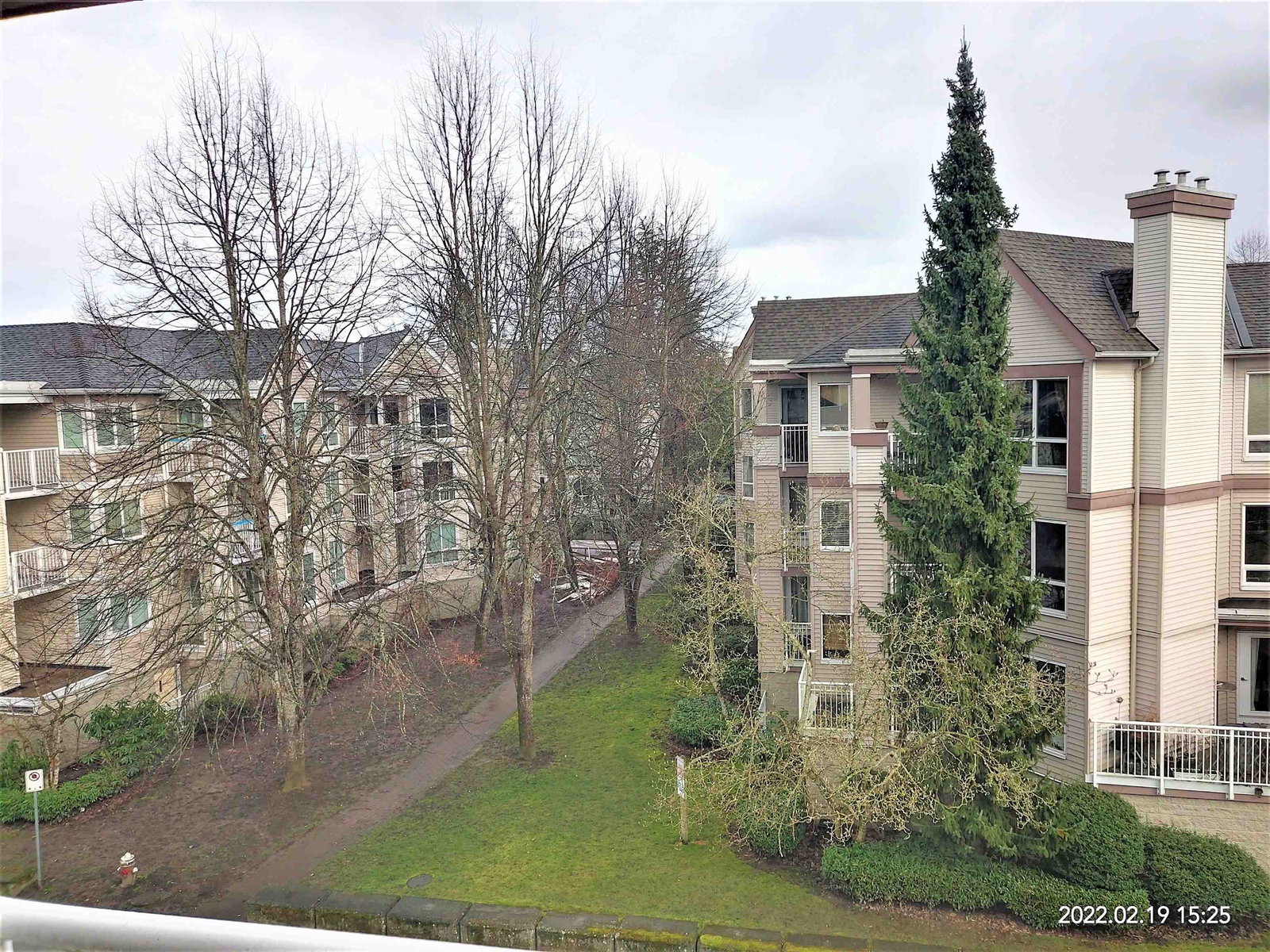 Listing Image 19