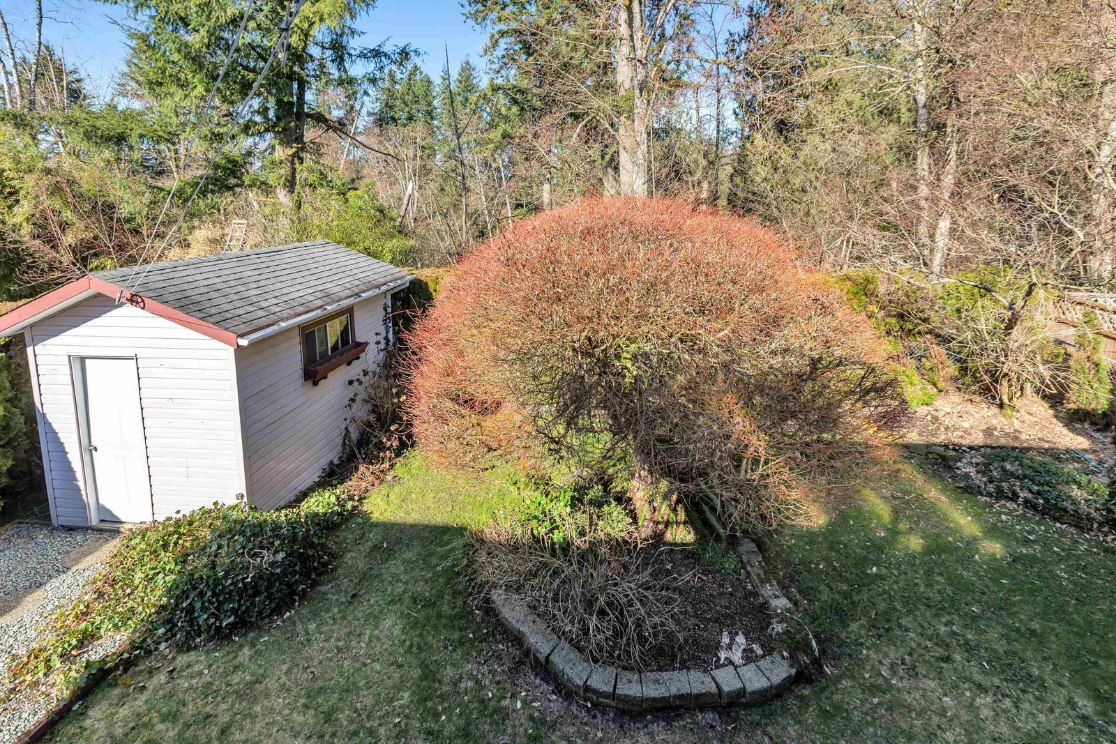 Listing Image 19