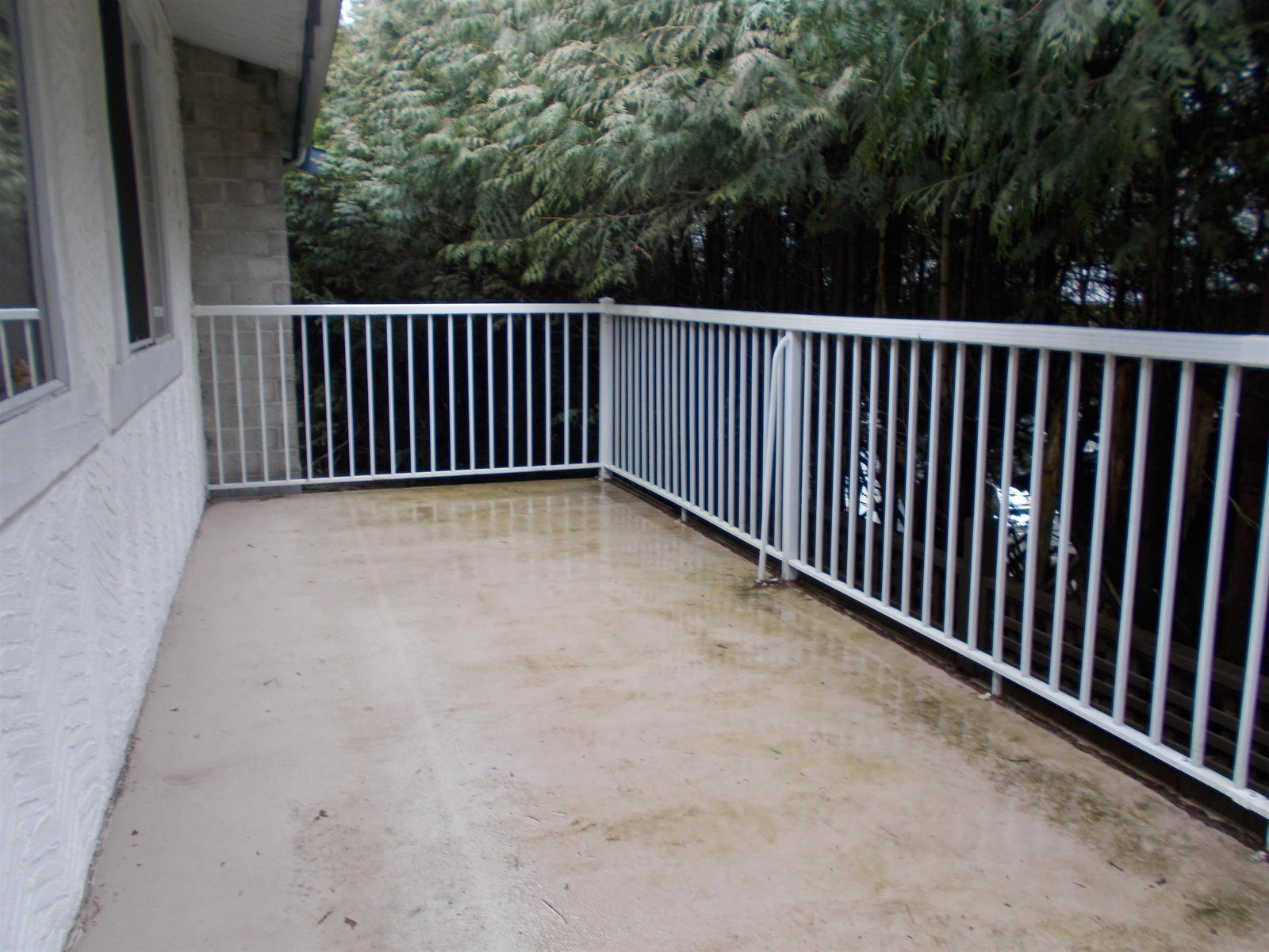 Listing Image 26