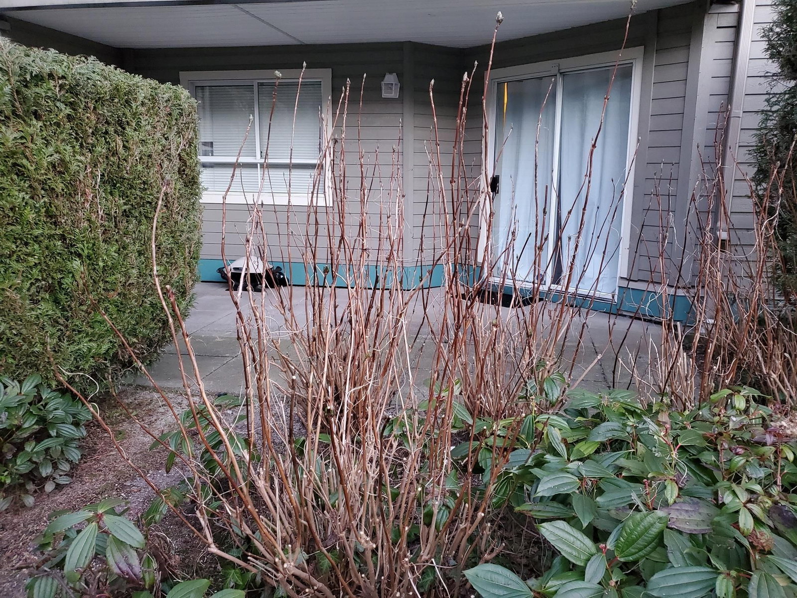 Listing Image 5