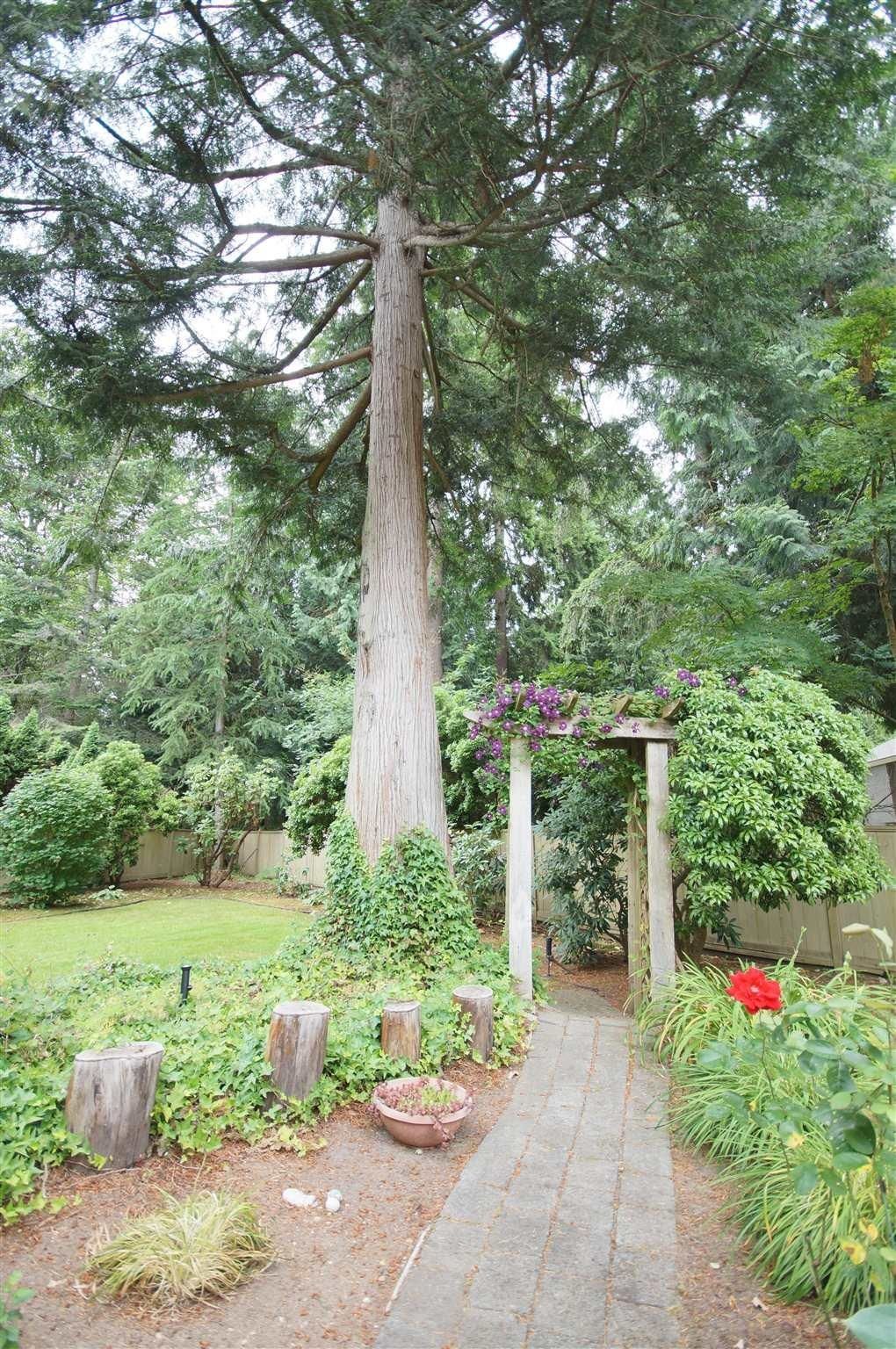 Listing Image 36