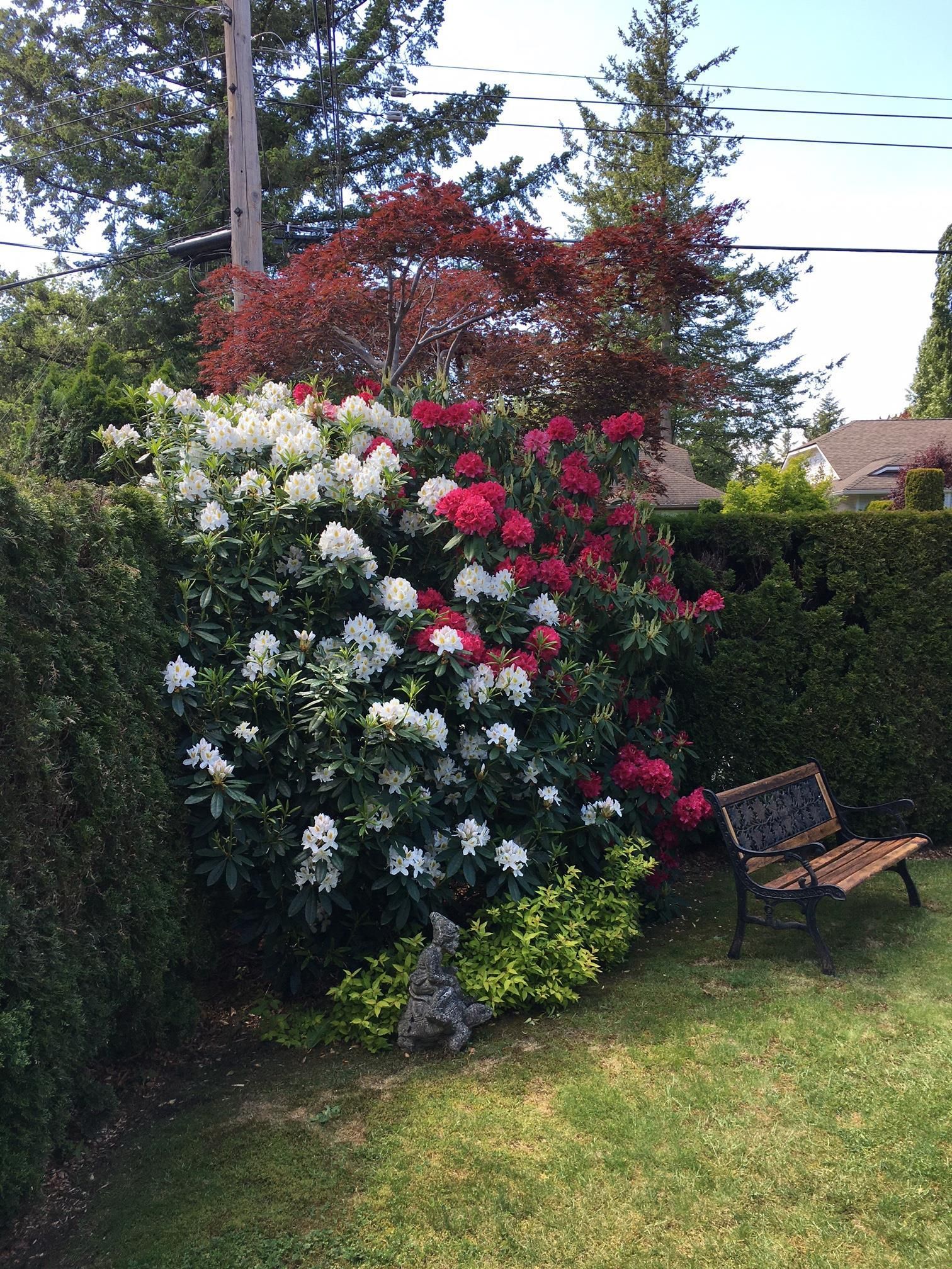 Listing Image 31