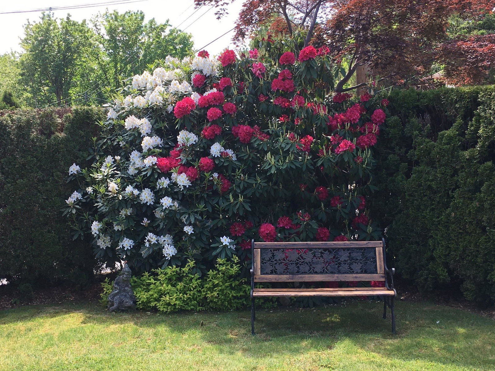 Listing Image 32