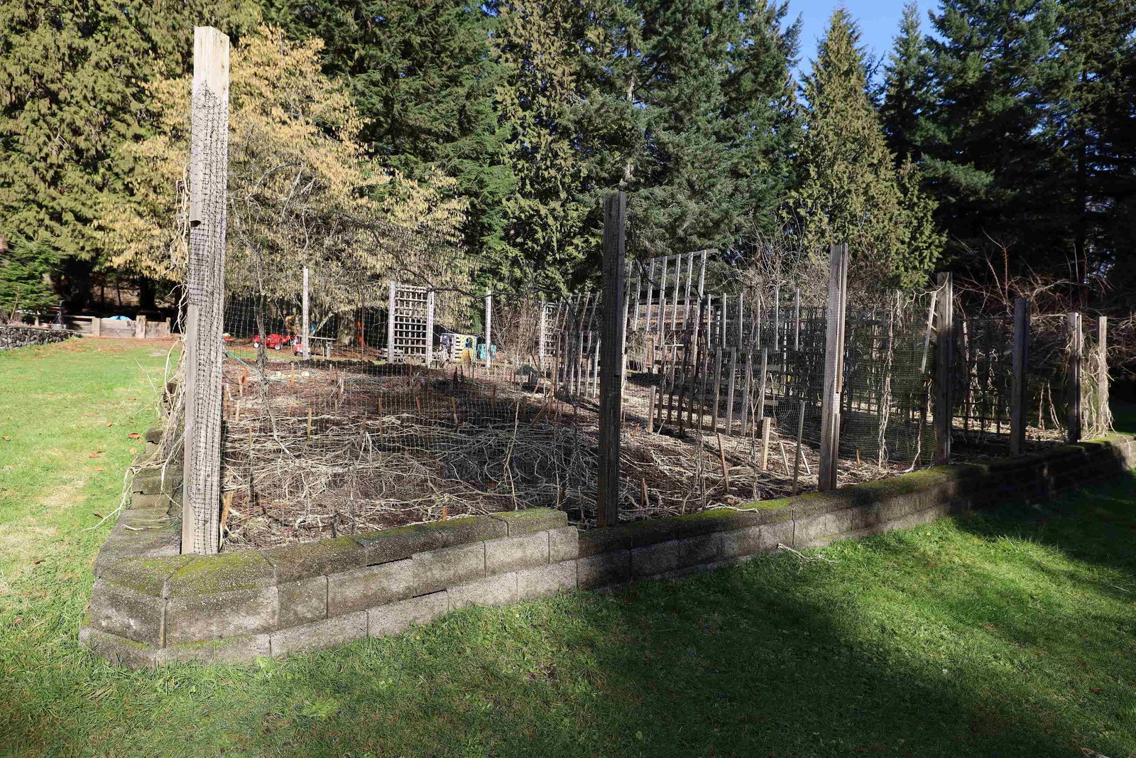 Listing Image 11