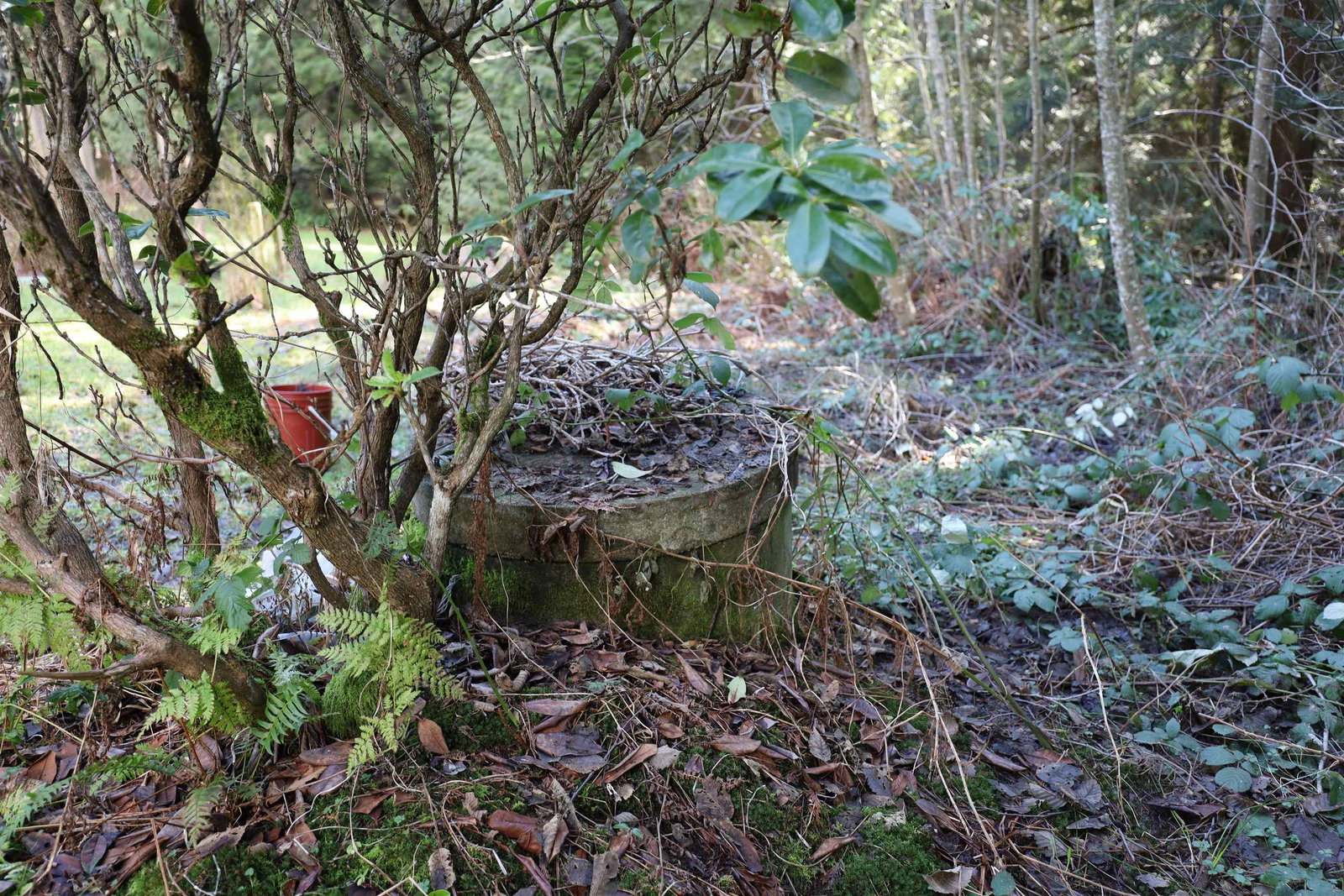 Listing Image 14