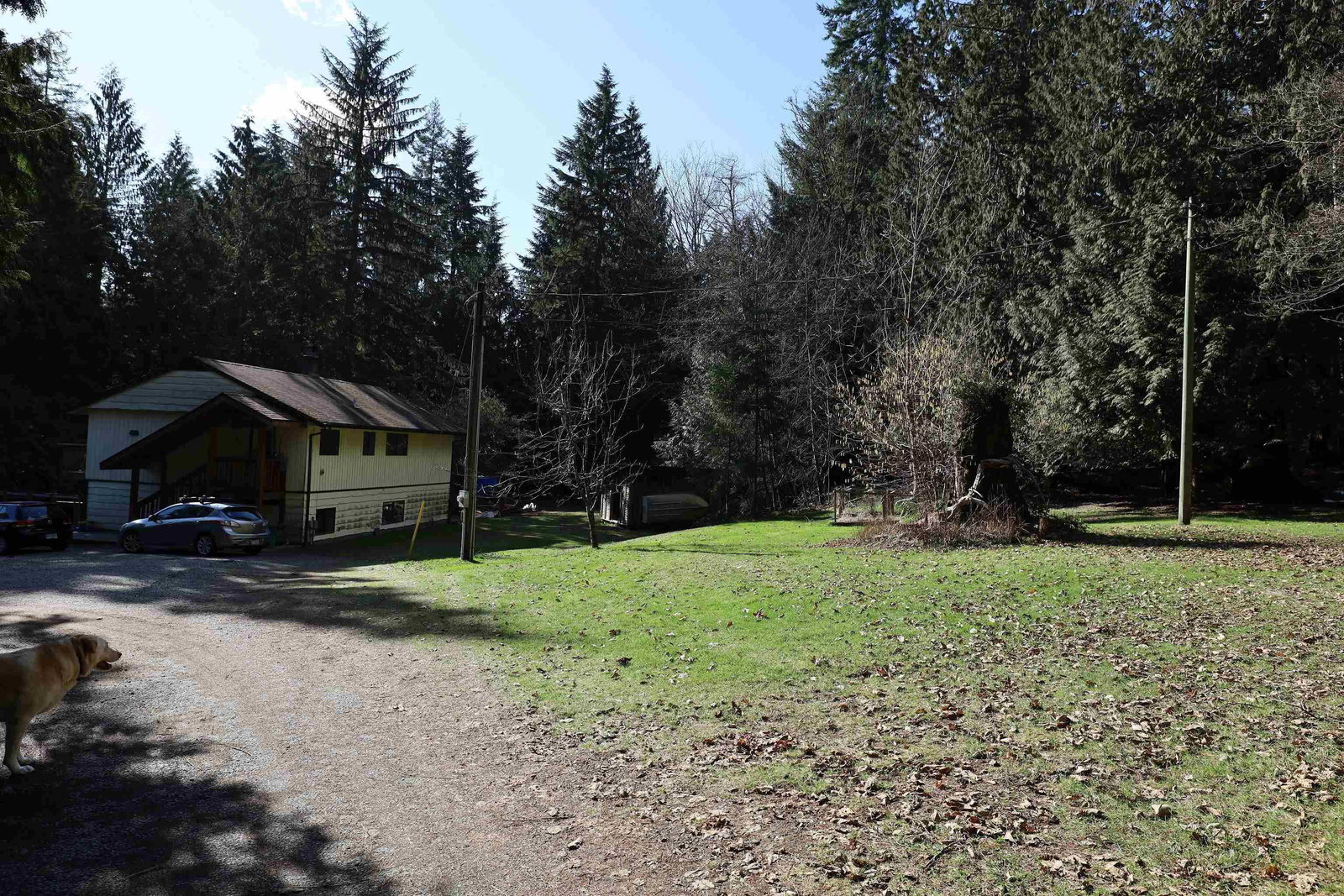 Listing Image 18