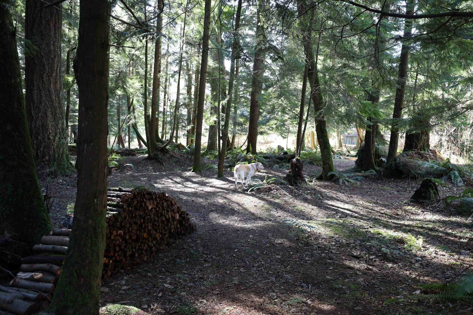 Listing Image 5