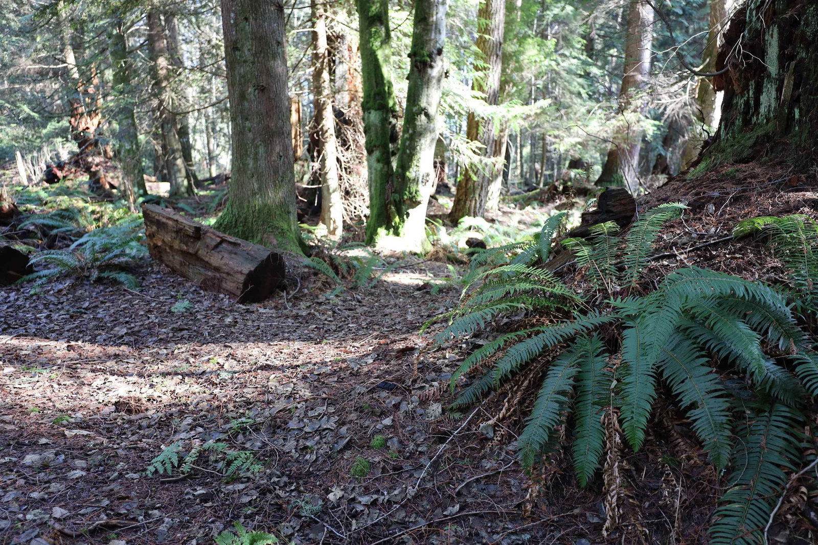 Listing Image 6