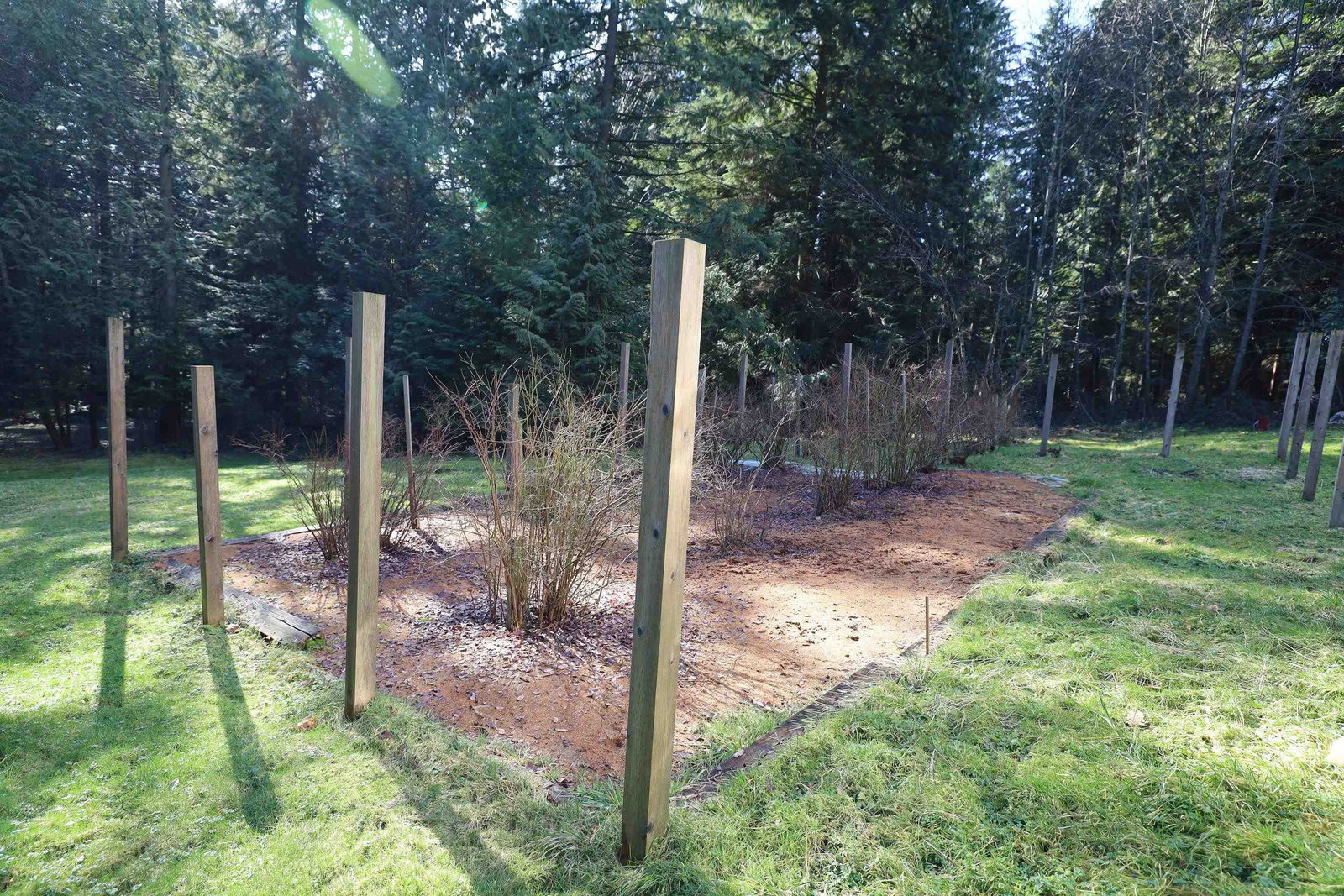 Listing Image 8