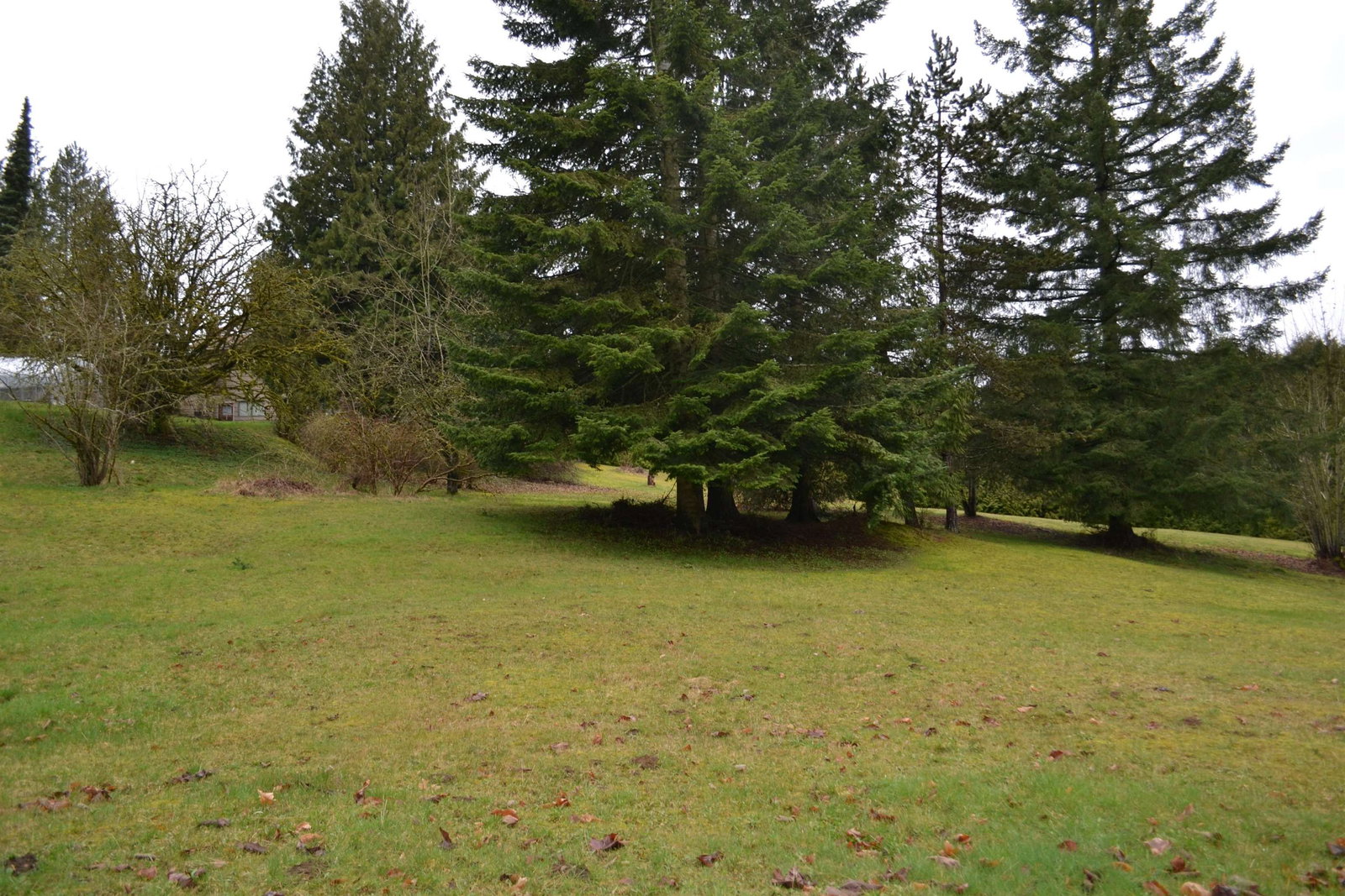 Listing Image 24