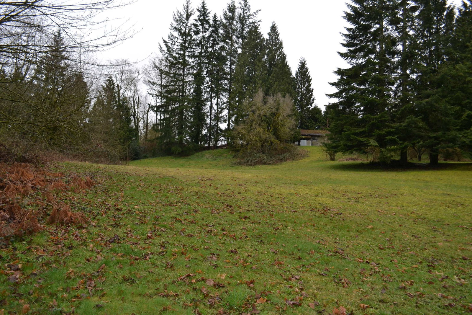Listing Image 26