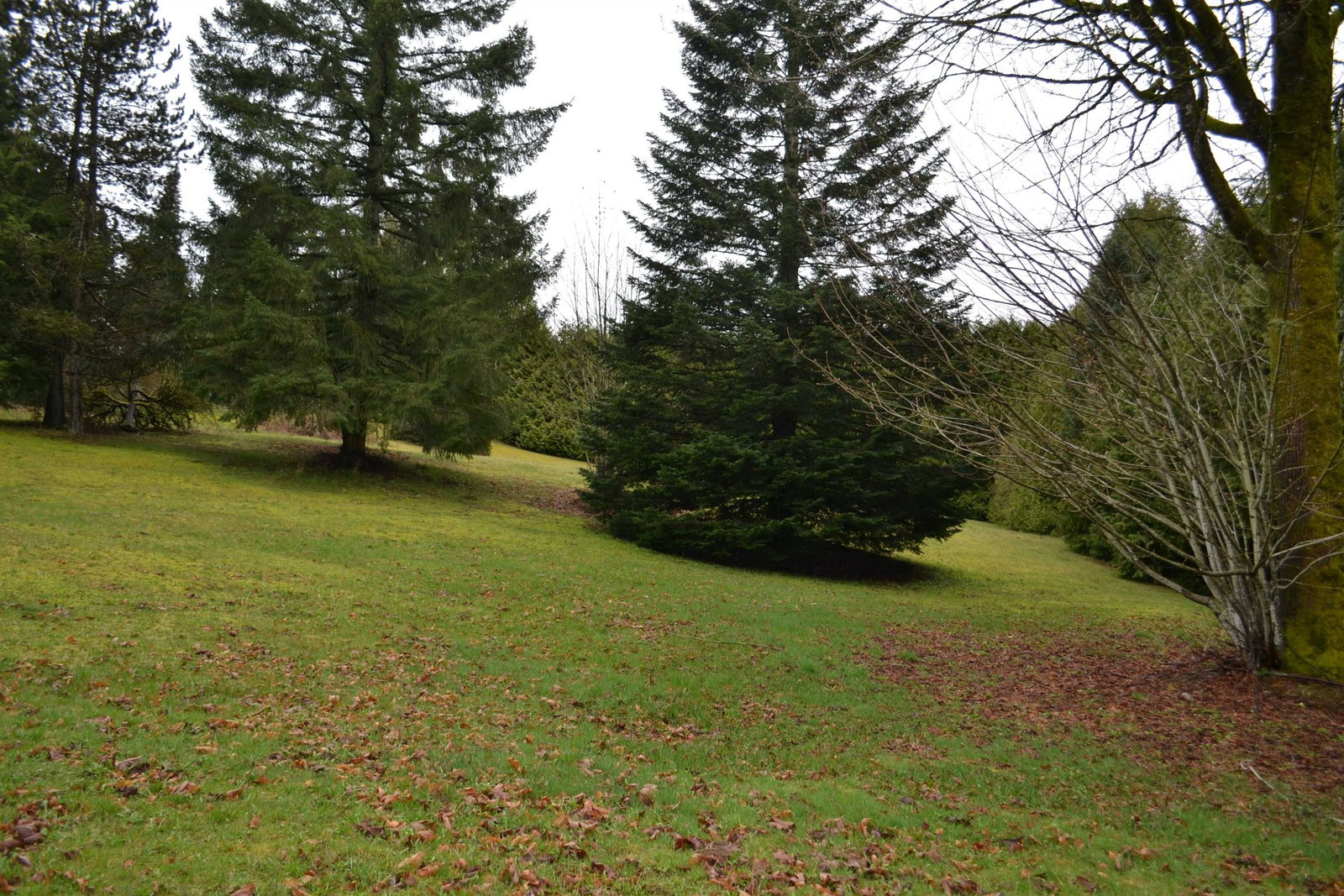 Listing Image 27