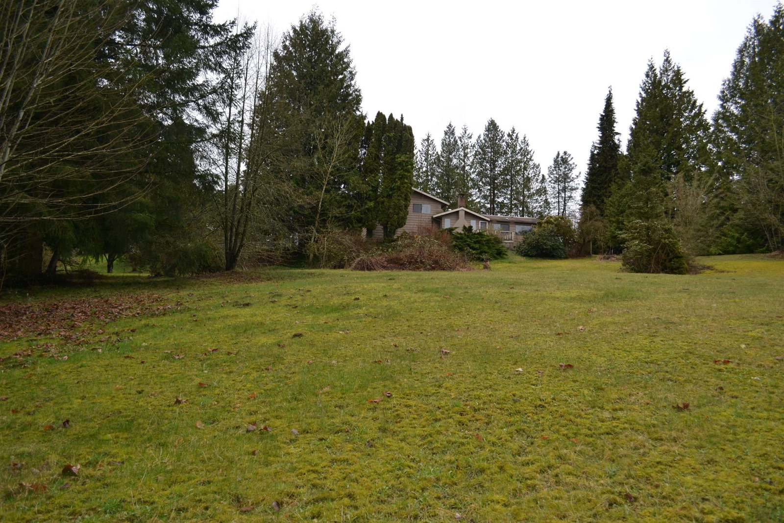Listing Image 28