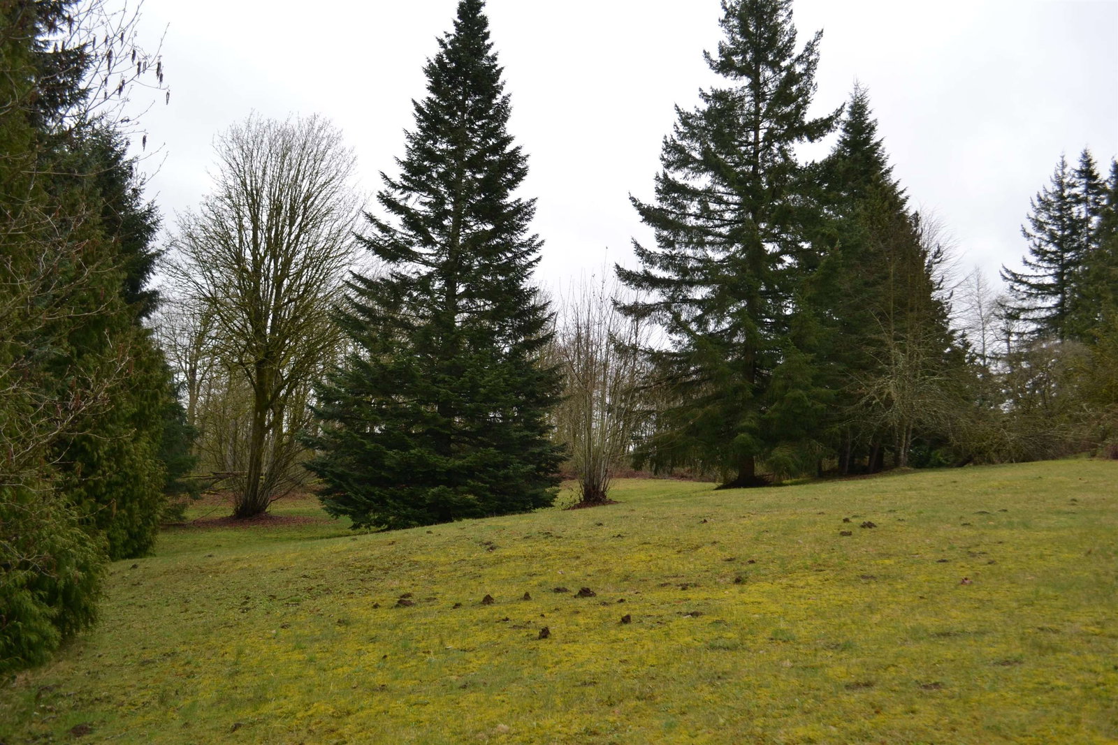 Listing Image 30