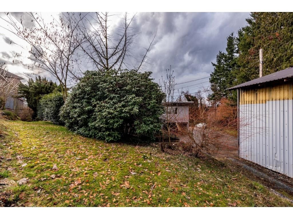 Listing Image 33