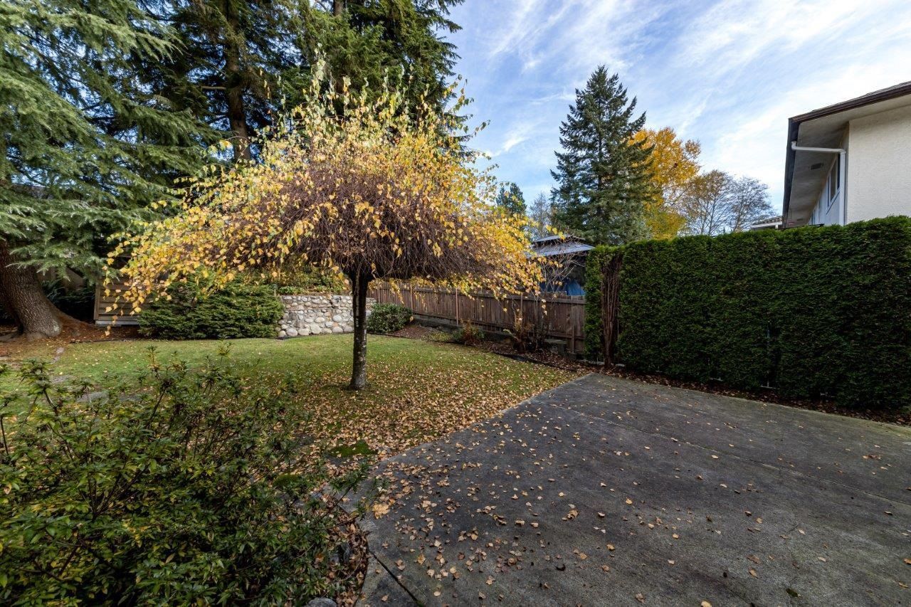 Listing Image 27