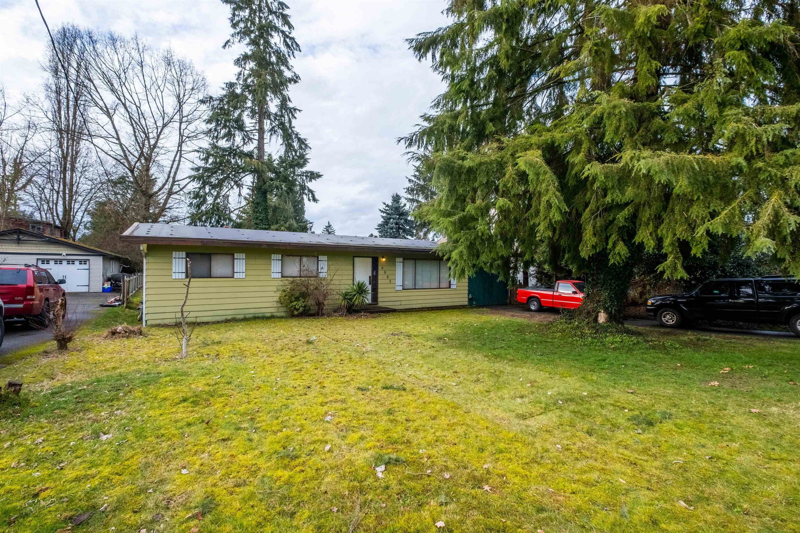 Listing Image 5