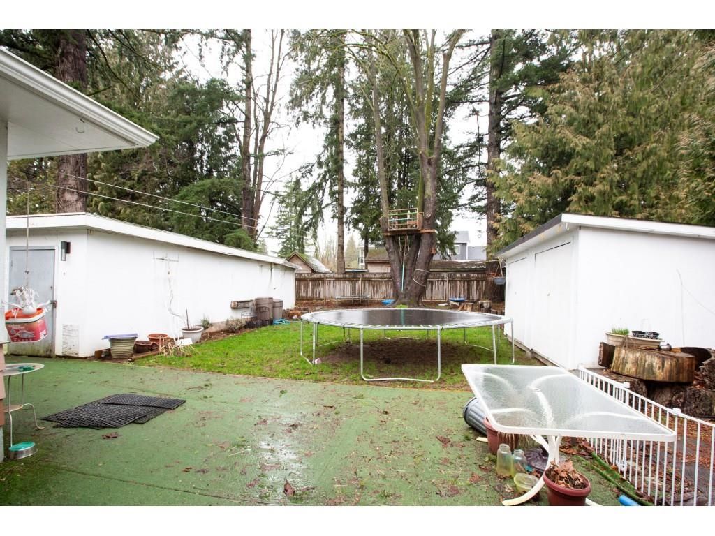 Listing Image 19