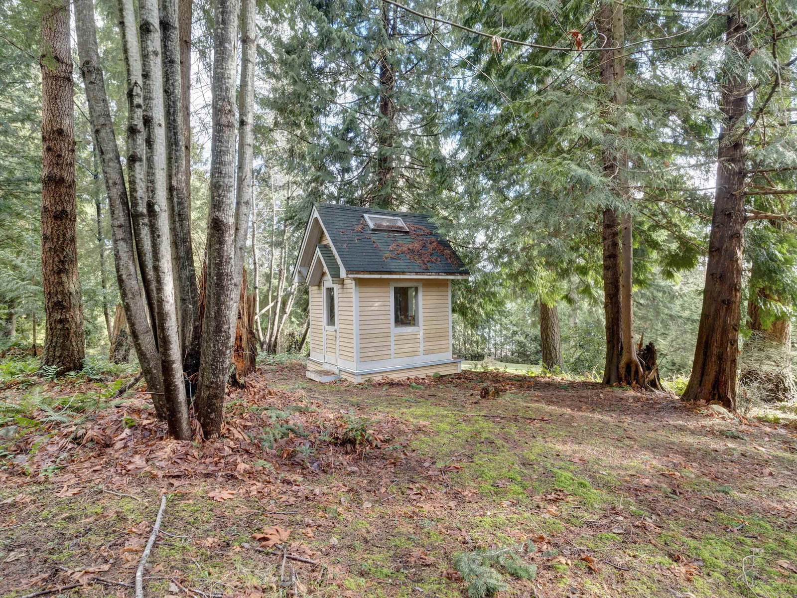 Listing Image 14