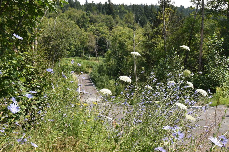 48875 Elk View Road, Chilliwack, V4Z 1G7 | Image 2