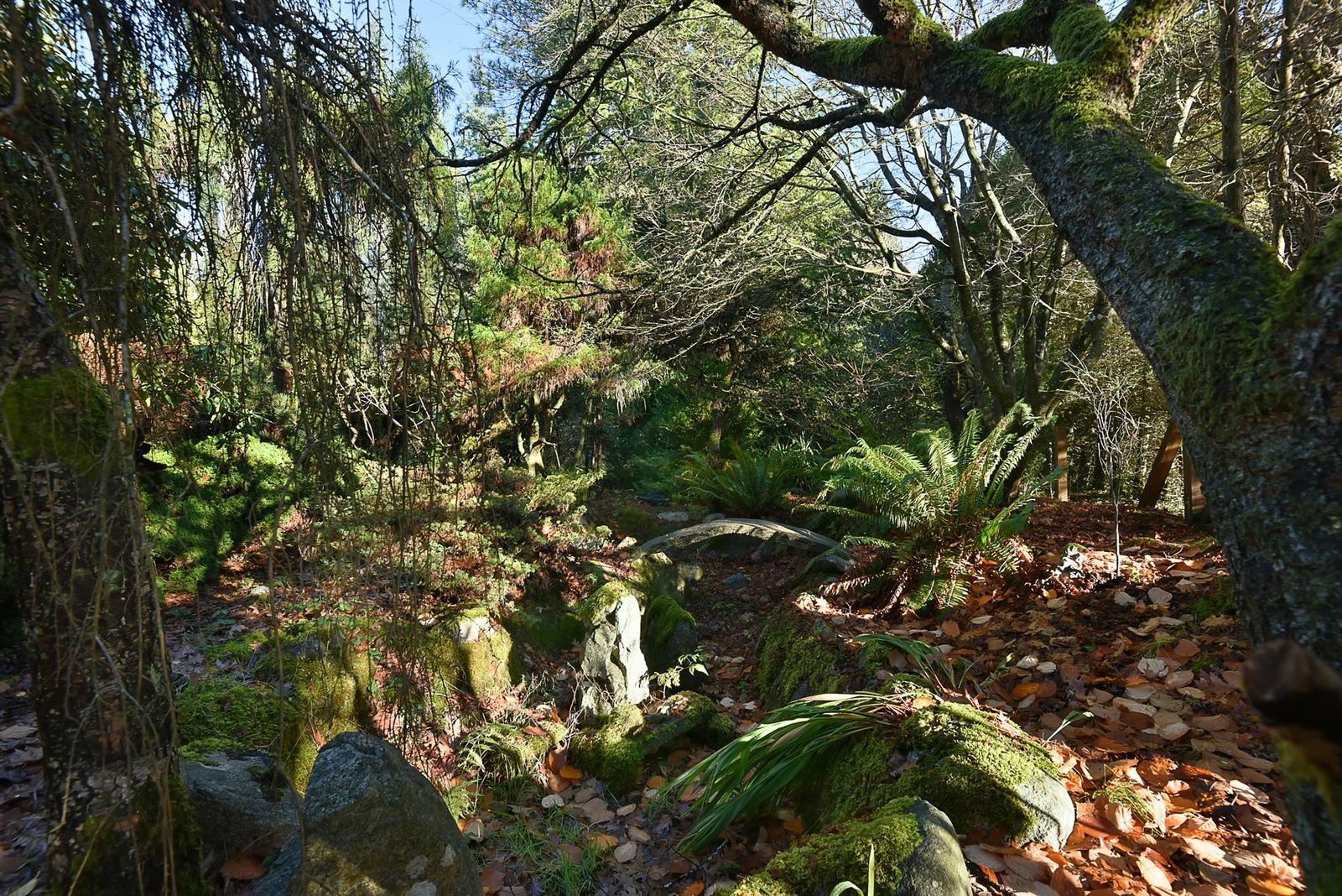 Listing Image 27