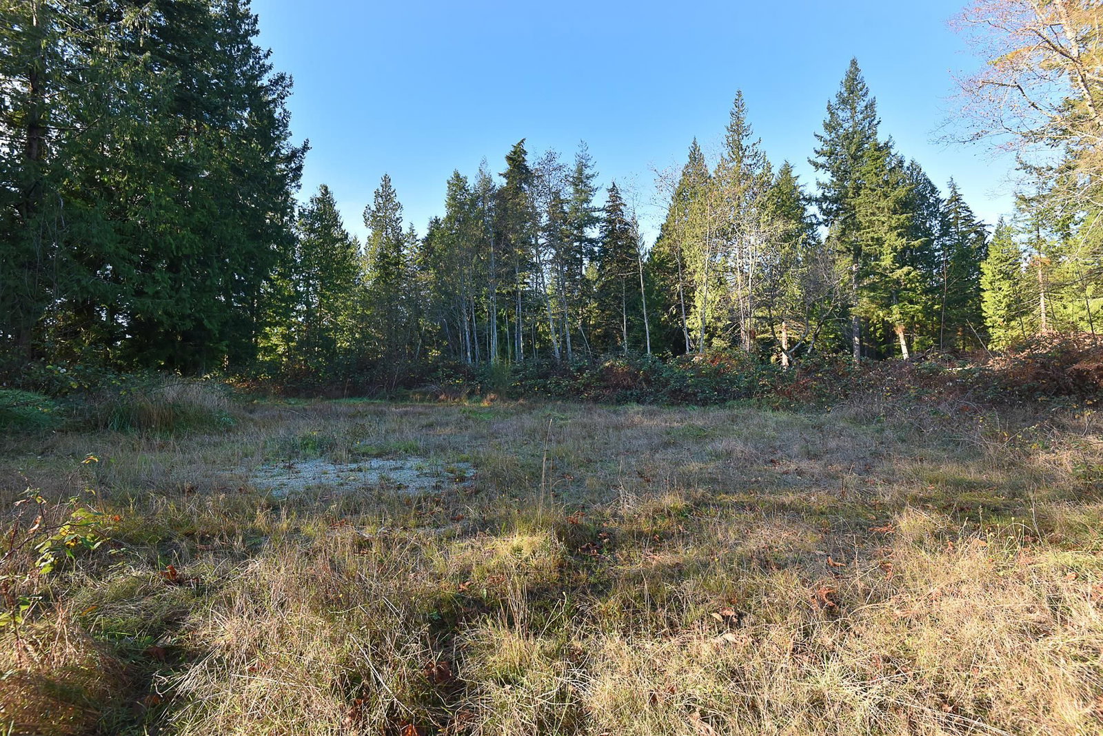 Listing Image 29