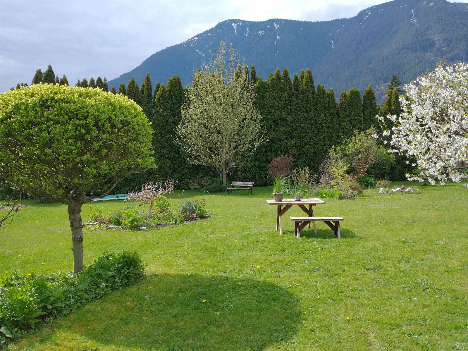 Listing Image 21