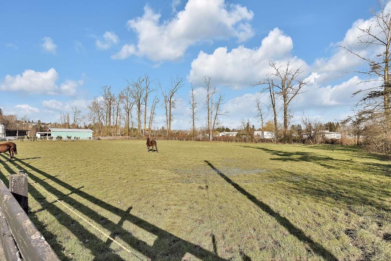 Listing Image 29