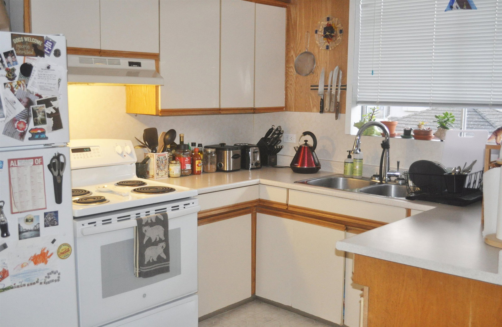 Listing Image 15