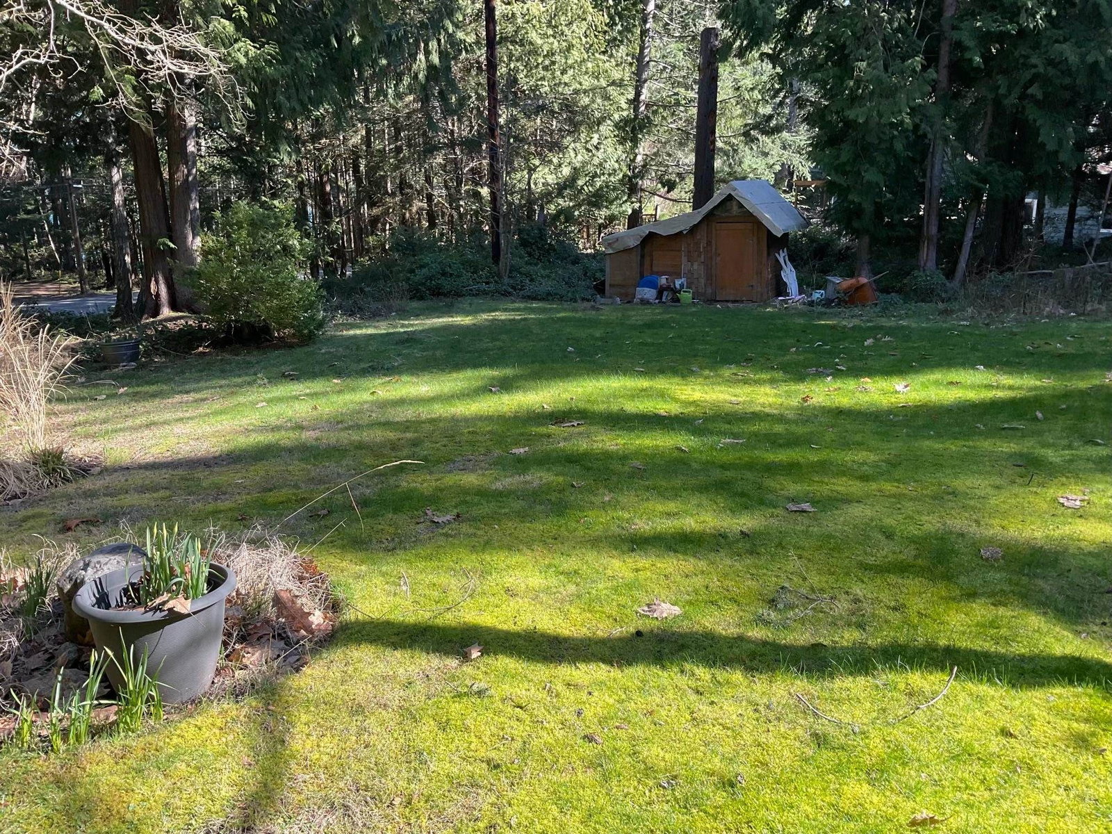 Listing Image 20